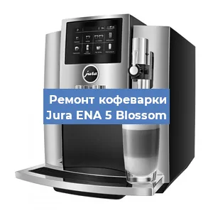 Чистка кофемашины Jura ENA 5 Blossom от кофейных масел в Красноярске